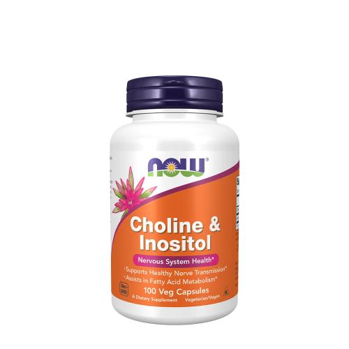 Now Foods Choline & Inositol 500 mg (100 Kapsułka roślinna)