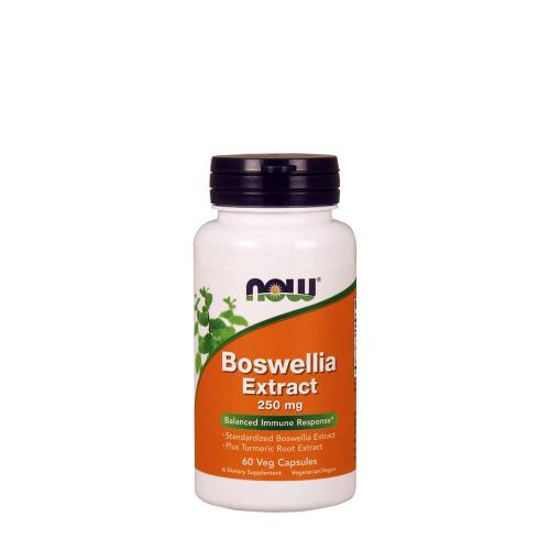 Now Foods Boswellia Extract 250 mg (60 Kapsułka roślinna)