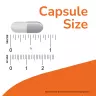 Now Foods Cat's Claw 500 mg Veg Capsules (250 Kapsułka roślinna)