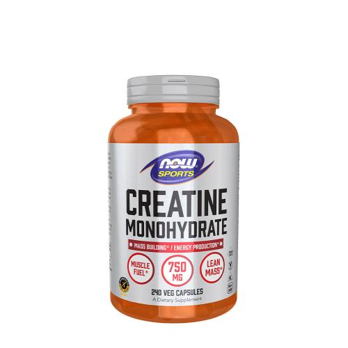 Now Foods Creatine Monohydrate 750 mg (240 Kapsułka roślinna)