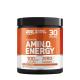 Optimum Nutrition Essential  AMIN.O. Energy™ (270 g, Cooler pomarańczowy)