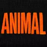 Universal Nutrition Animal Beanie (1 db, Czarny/Pomarańczowy)