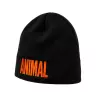 Universal Nutrition Animal Beanie (1 db, Czarny/Pomarańczowy)