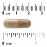 Swanson Ashwagandha Extract - Standardized 450 MG (60 Kapsułka)
