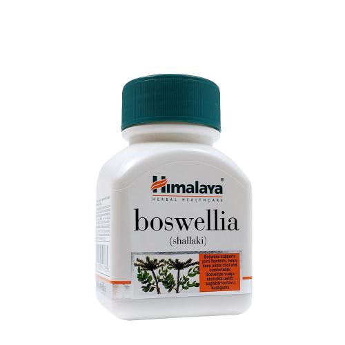 Himalaya Boswellia  (60 Kapsułka roślinna)