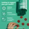 Goli Pre + Post + Probiotics Gummies (60 Żelka)