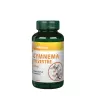 Vitaking Gymnema Sylvestre 400 mg - Gymnema Sylvestre 400 mg (90 Kapsułka)