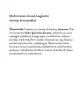 Vitaking Syrop multiwitaminowy Vitemix - Vitemix Multivitamin Syrup (200 ml)