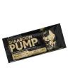 Kevin Levrone Shaaboom Pump Sample (17,5 g, Cytrusy Brzoskwinia)