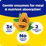Enzymedica Papaya Complete (120 Tabletka, Papaja mięta)