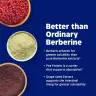 Enzymedica Berberine Phytosome® (60 Kapsułka)