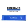 OstroVit Training Bands 4 pcs + bag (1 db)