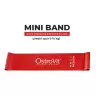 OstroVit Training Bands 4 pcs + bag (1 db)