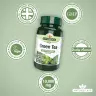 Natures Aid Green Tea 10,000mg (60 Tabletka)