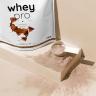 Nutriversum Whey PRO - PURE (1000 g, Jogurt malinowy)