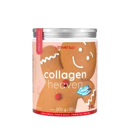 Nutriversum Collagen Heaven (300 g, Piernik)