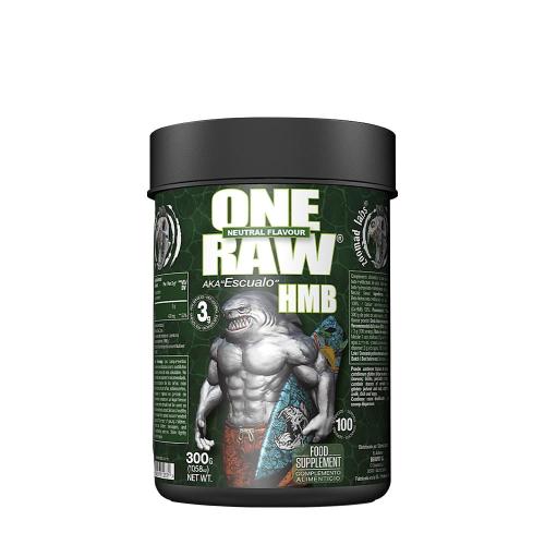 Zoomad Labs Raw One HMB (300 g, Bez smaku)