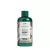 The Body Shop Coconut Shower Cream (250 ml)