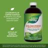 Nature's Way Chlorofresh® Liquid Chlorophyll (480 ml, Bez smaku)