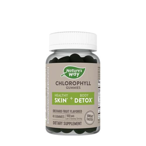 Natures Way Chlorophyll Gummies (60 Żelka, Owoc)