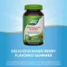 Nature's Way Magnesium Gummy (60 Żelka)