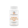Vitaworld Cordyceps extract 500 mg CS4 (100 Kapsułka)