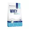 ALLNUTRITION Whey Delicious  (700 g, Wanilia)