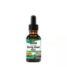 Nature's Answer Dong Quai Extract (1 fl. oz.)