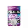 INLEAD Nutrition Creatine Monohydrate (500 g)