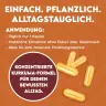 INLEAD Nutrition Turmeric Extract (120 Kapsułka roślinna)