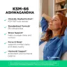 Vitamin360 KSM-66 Ashwagandha® 600 mg – Premium suplement diety z ashwagandhą (120 Kapsułka roślinna)