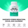 Vitamin360 KSM-66 Ashwagandha® 600 mg – Premium suplement diety z ashwagandhą (120 Kapsułka roślinna)